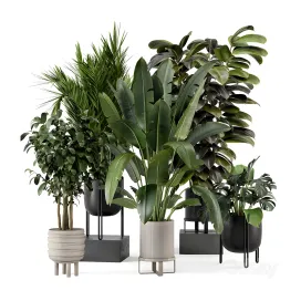 Indoor plants in ferm living bau pot large